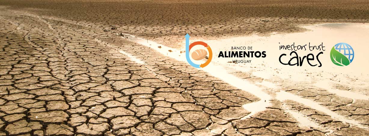 Investors Trust Cares